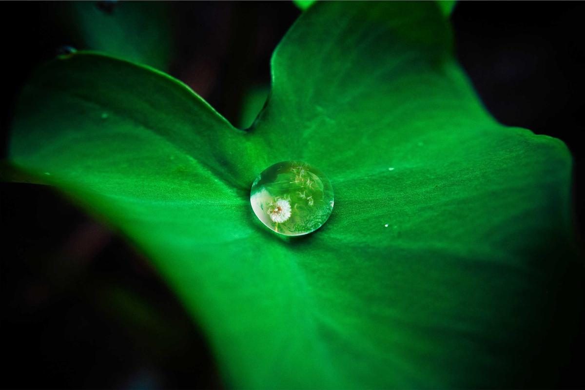 安曼深度旅行全攻略：堡与市玩法+FAQ