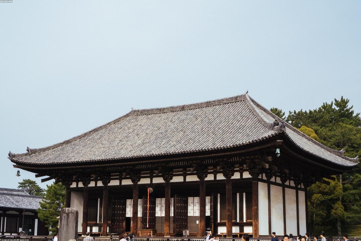 Nara In-Depth Travel Complete Guide: Deer and Temple Activities + FAQ
