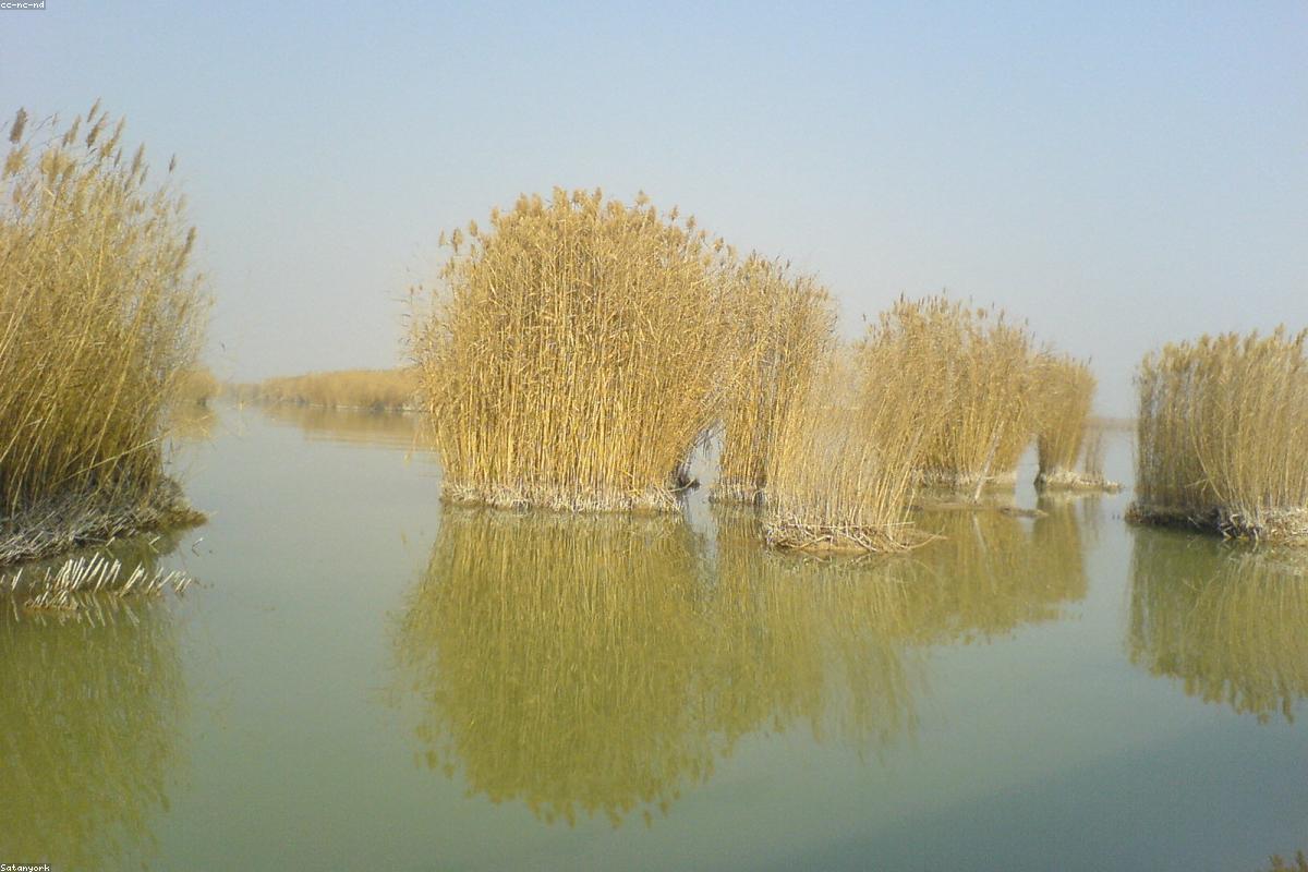 Shahu in Ningxia and the Western Xia royal tomb site