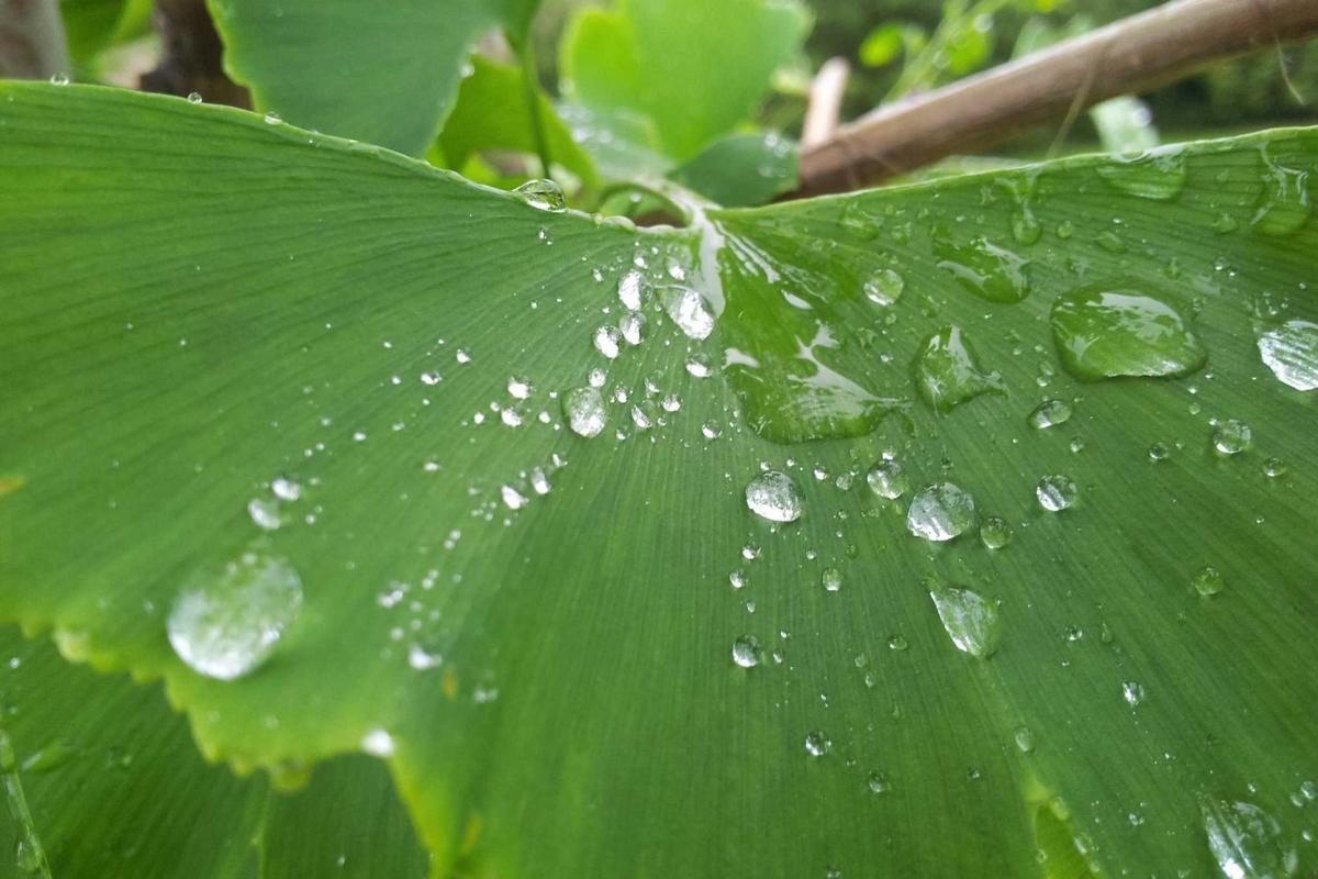 罗德岛深度旅行全攻略：城与滩玩法+FAQ