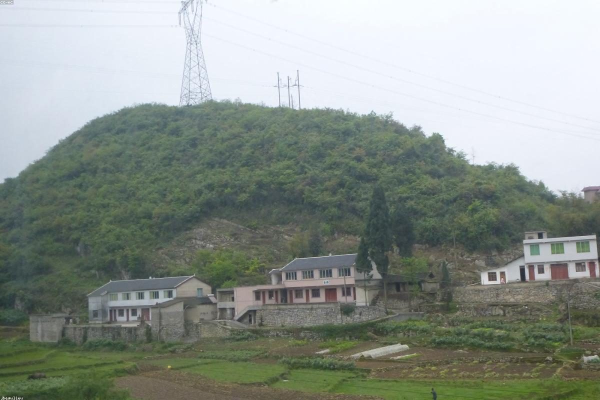 Complete Guide to In-Depth Travel in Zunyi: Meetings and Drinks + FAQ