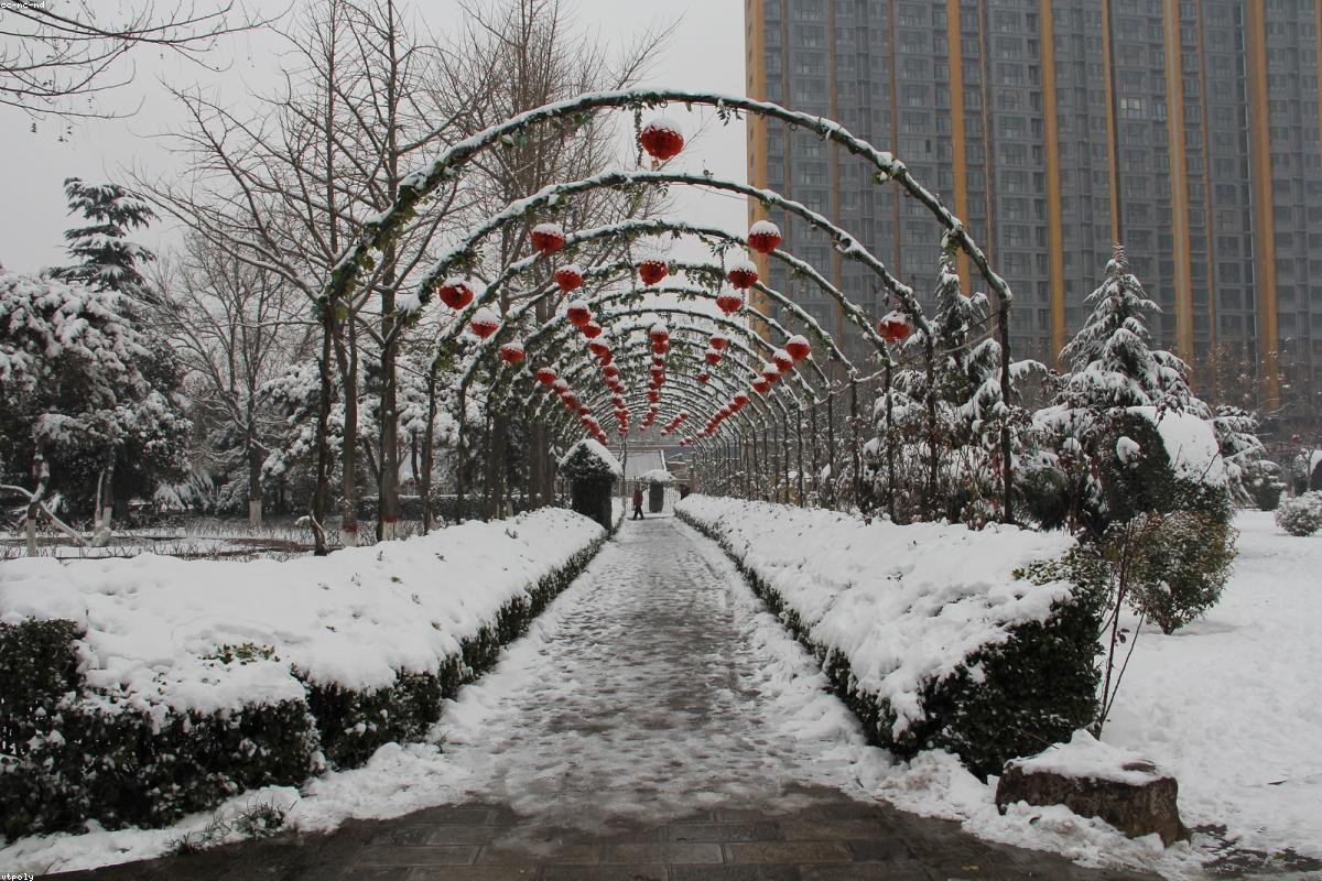 Zhengzhou Henan Museum