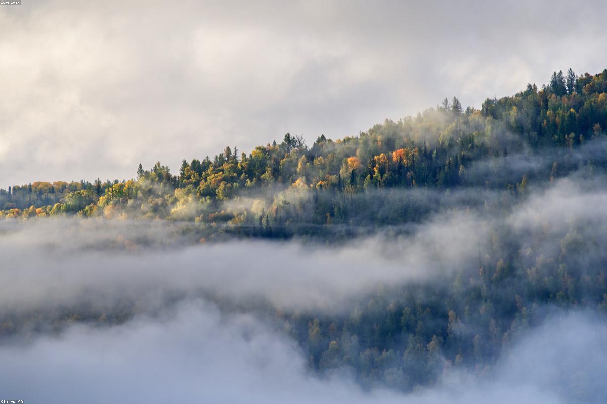 Kanas Lake is shrouded in morning mist, and the golden birch forest is reflected in the blue lake