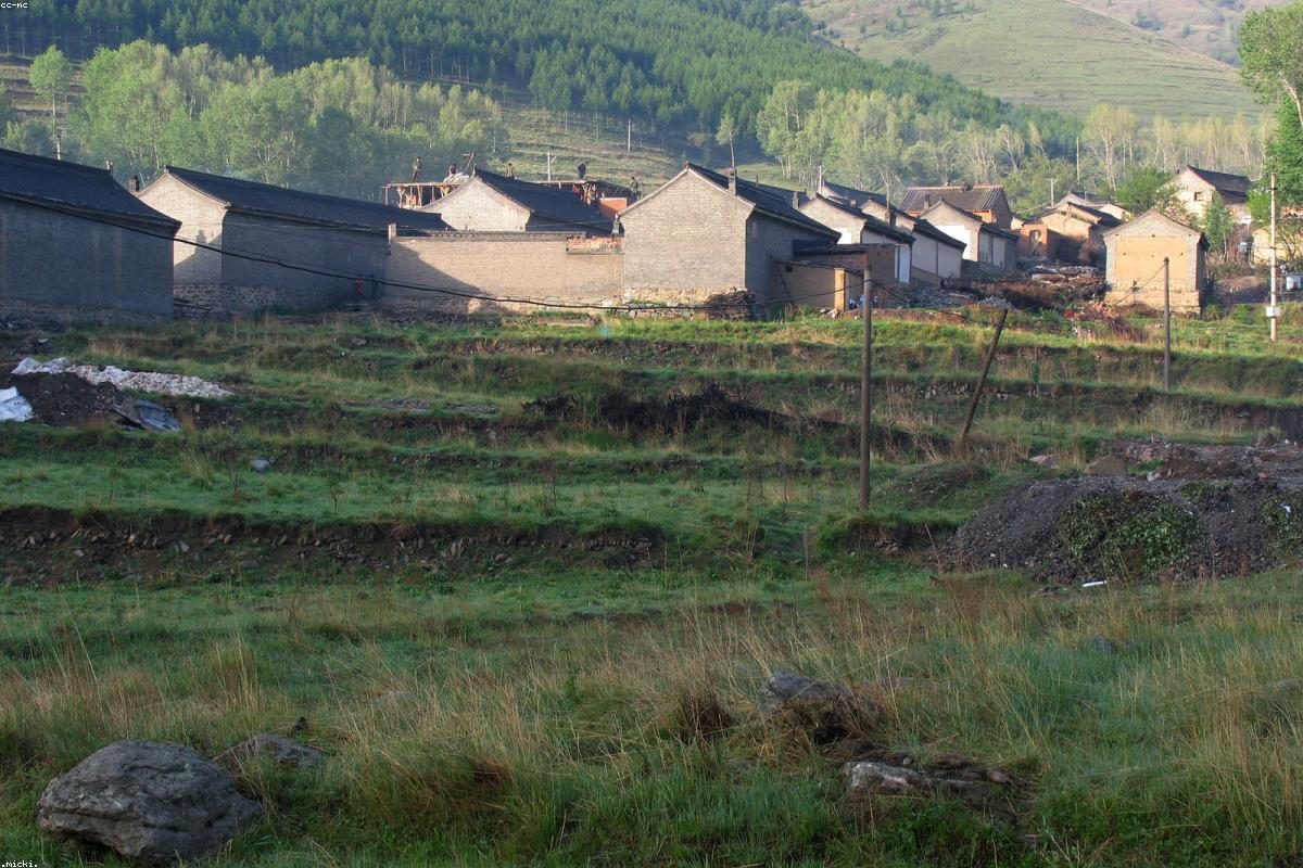 Wutai Mountain In-depth Travel Complete Guide: Taiyu Temple Activities + FAQ