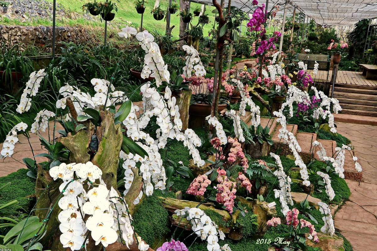 Chiang Mai In-Depth Travel Guide: Temples and Nighttime Activities + FAQ