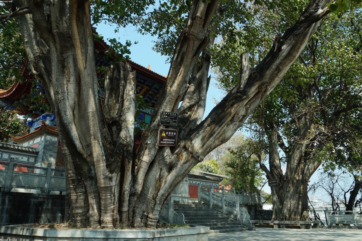 大理深度旅行全攻略：山与海玩法+FAQ