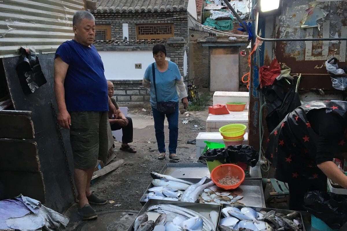 烟台深度旅行全攻略：岛与海玩法+FAQ