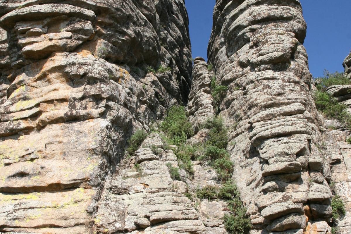 Chifeng In-depth Travel Complete Guide: Stones and Forests + FAQ