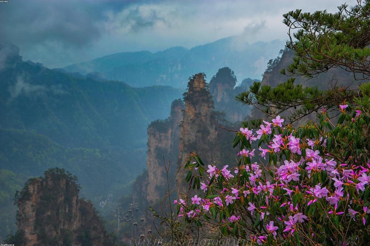 Zhangjiajie, Zhangjiajie