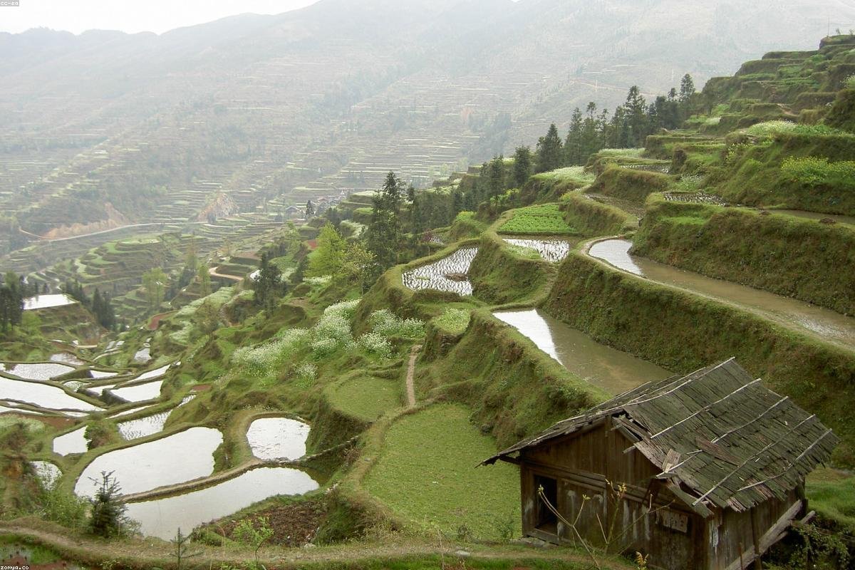 Terraced fields were added