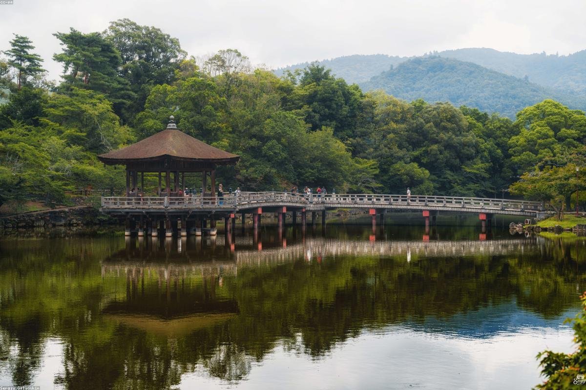 Nara Nara Park