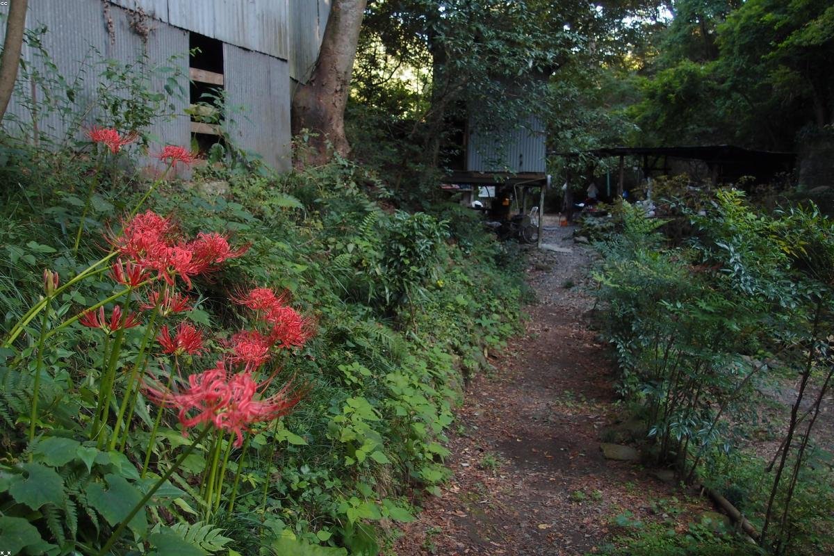 长白山天池与落差瀑布