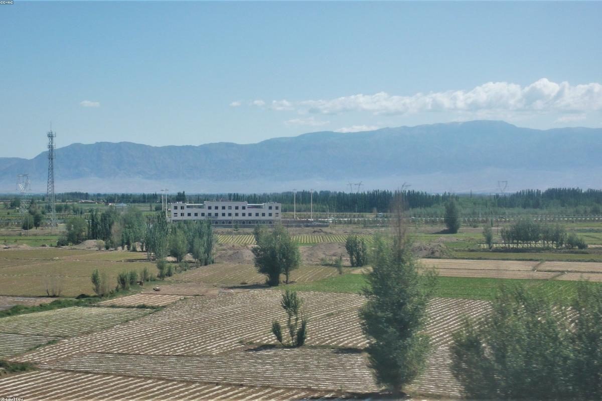 西宁深度旅行全攻略：湖与寺玩法+FAQ