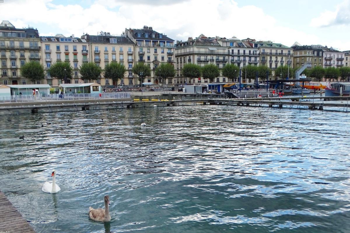 Geneva Fountain