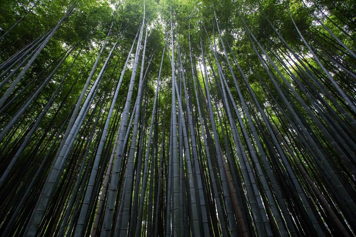 曼德勒2深度旅行全攻略：宫与桥玩法+FAQ
