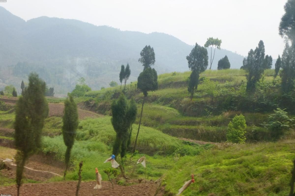 达州深度旅行全攻略:山与河玩法+FAQ