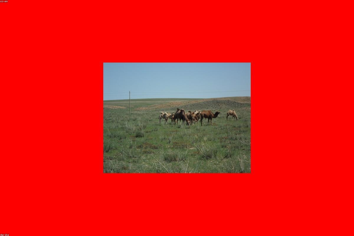 The Hulunbuir grassland and winding rivers in Inner Mongolia