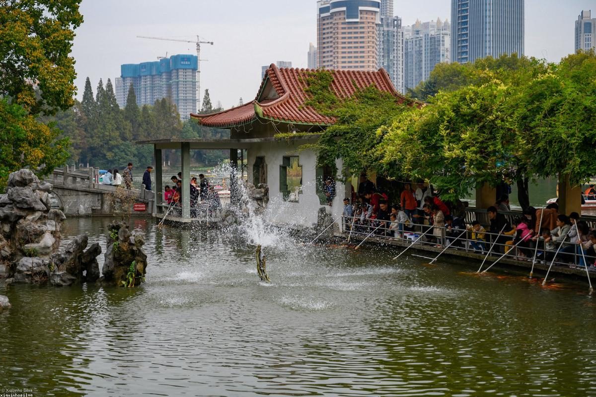 Hefei In-depth Travel Complete Guide: Judge Bao and Science Education Activities + FAQ