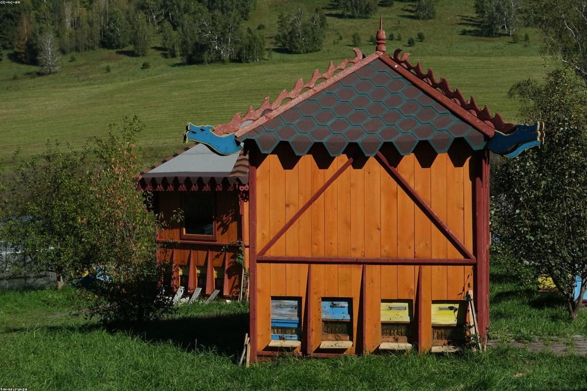 Altay In-Depth Travel Guide: Autumn and Snow Activities + FAQ