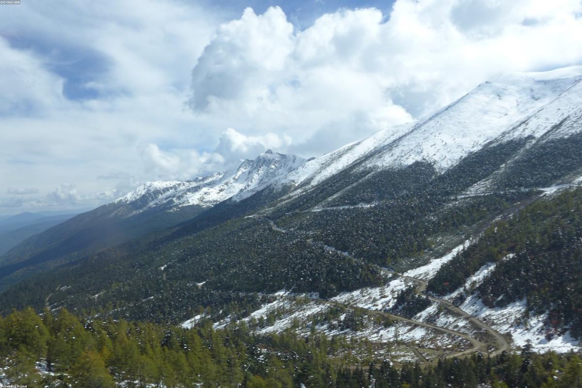神农架原始冷杉林与高山草甸云雾缭绕