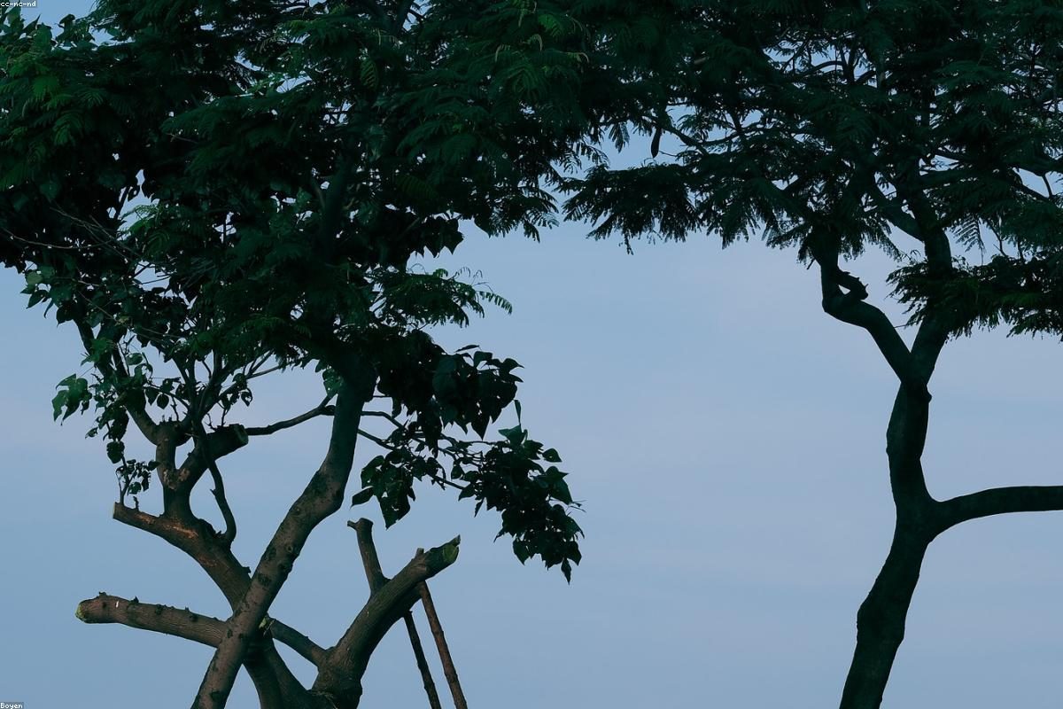 Xiamen In-Depth Travel Guide: Qindao and Xiamen University Tips + FAQ