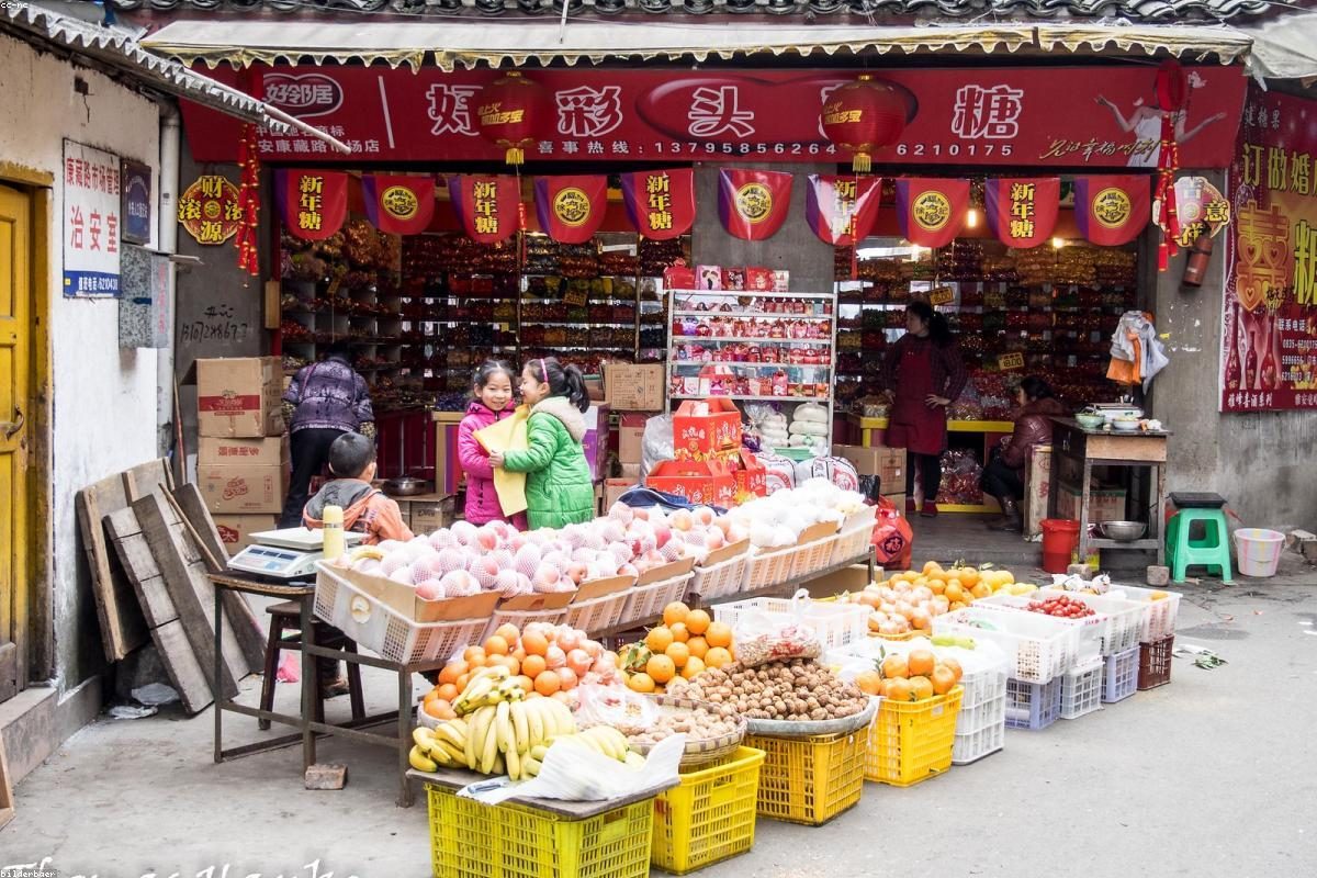 雅安深度旅行全攻略：熊与谷玩法+FAQ