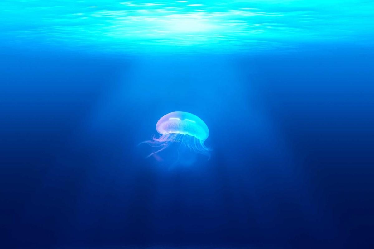 济宁深度旅行全攻略：庙与府玩法+FAQ