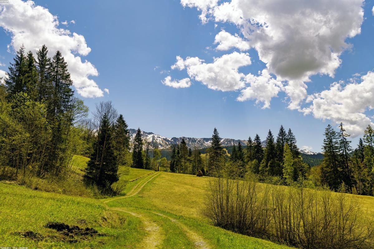 Lucerne In-Depth Travel Complete Guide: Bridges and Peaks + FAQ