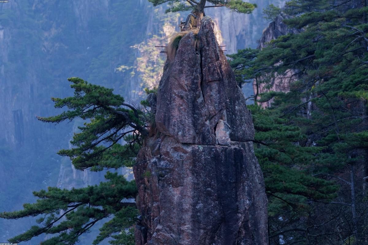 Complete Guide to In-Depth Travel in Huangshan: Peaks and Villages + FAQ