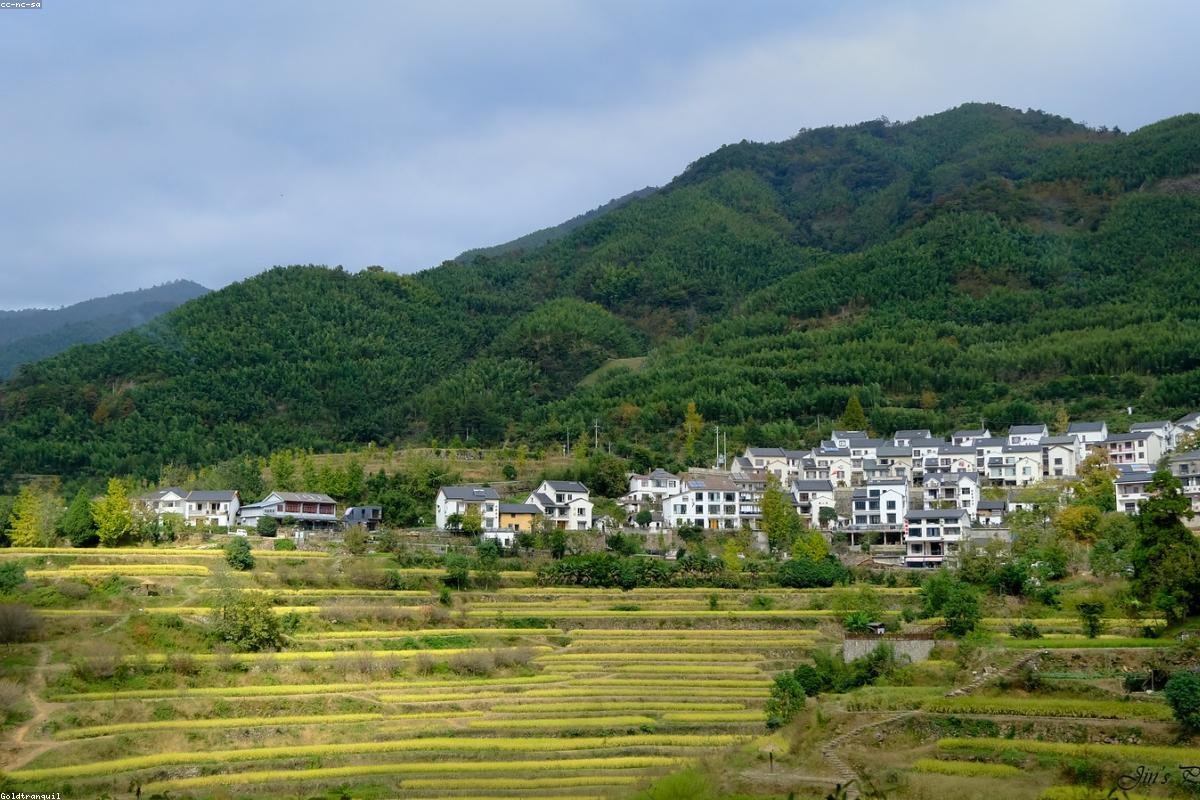 Lishui Yunhe Terraced Fields