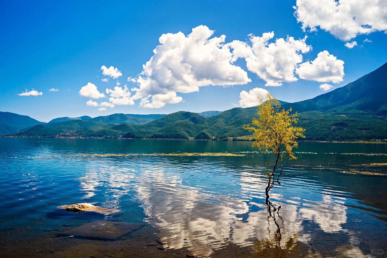 云雾中层层延伸的山峦