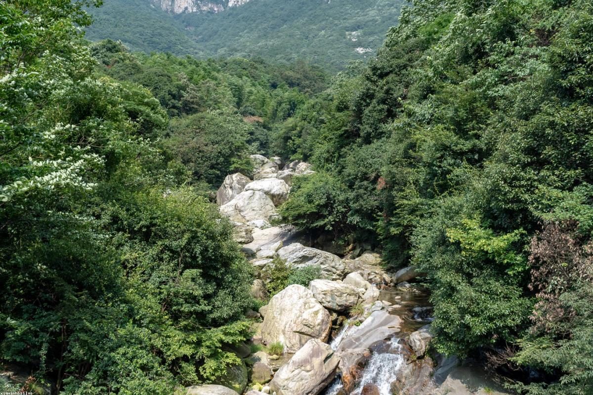 庐山深度旅行全攻略：峰与瀑玩法+FAQ