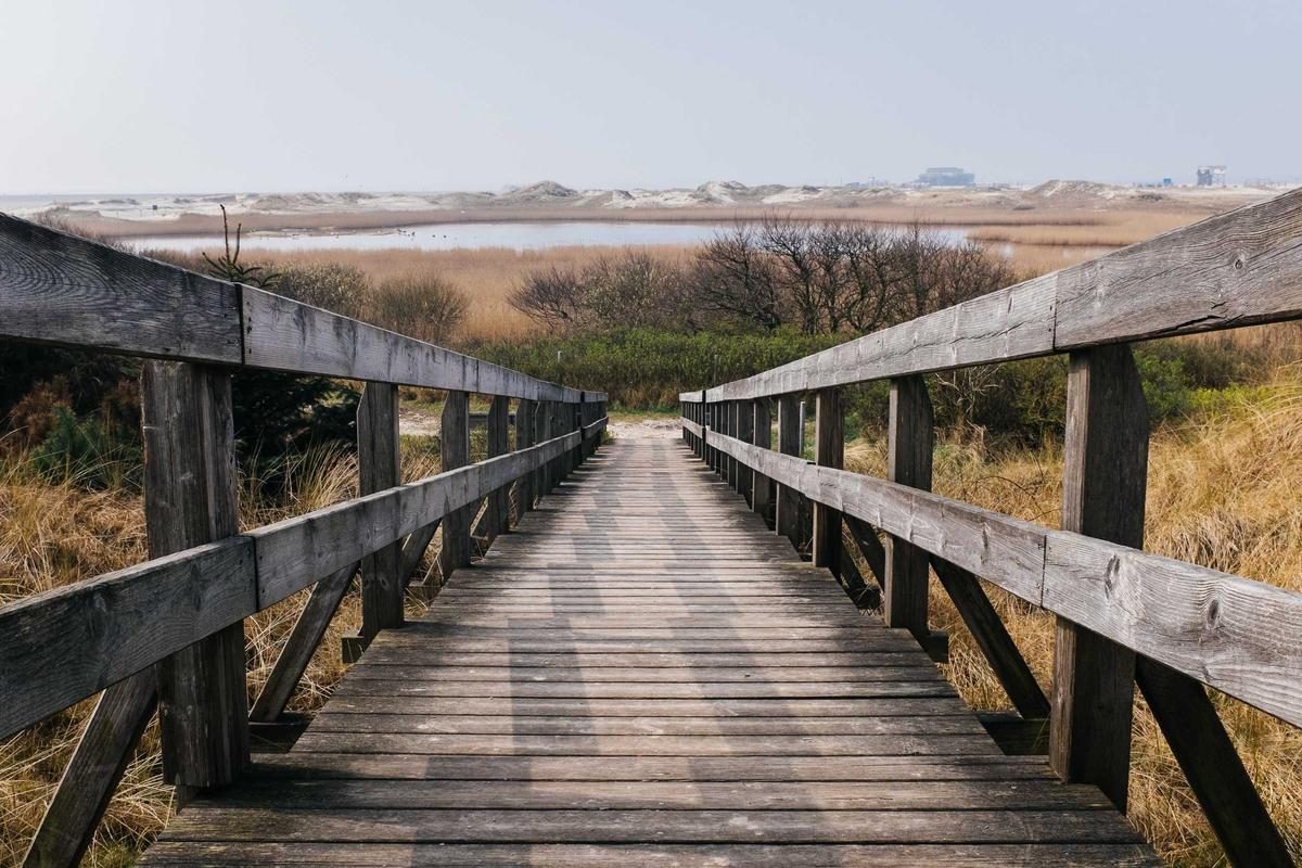 波士顿深度旅行全攻略：路与市场玩法+FAQ