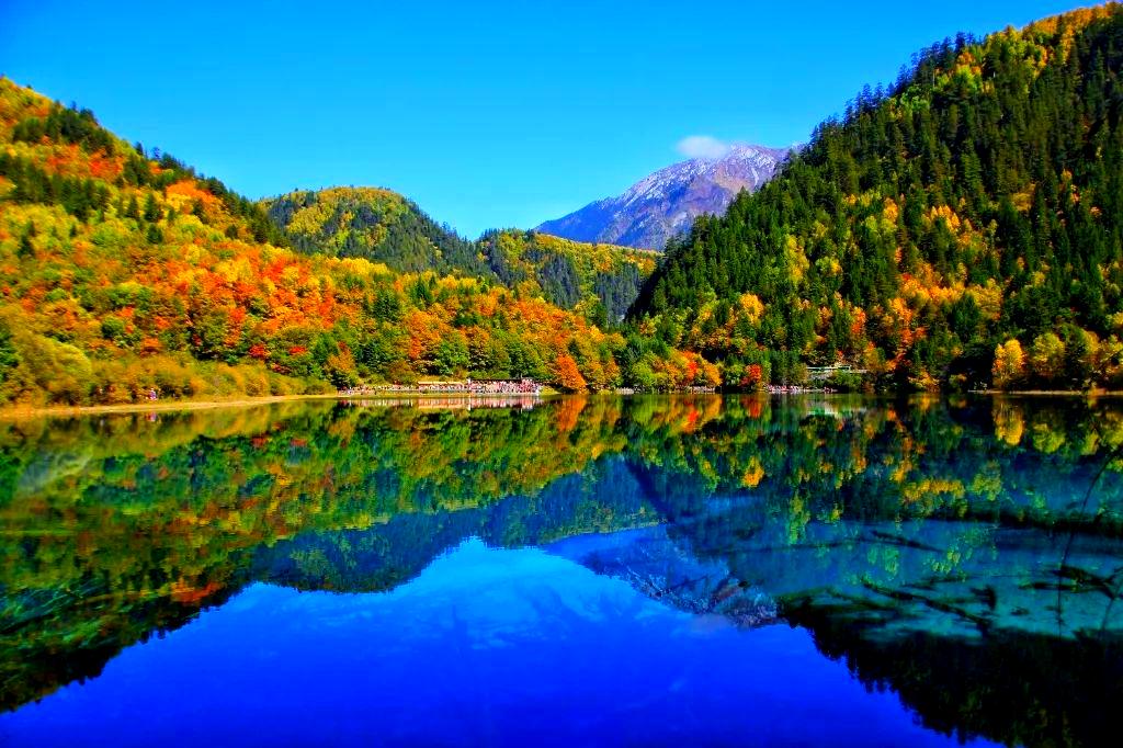 高山森林间的旅人