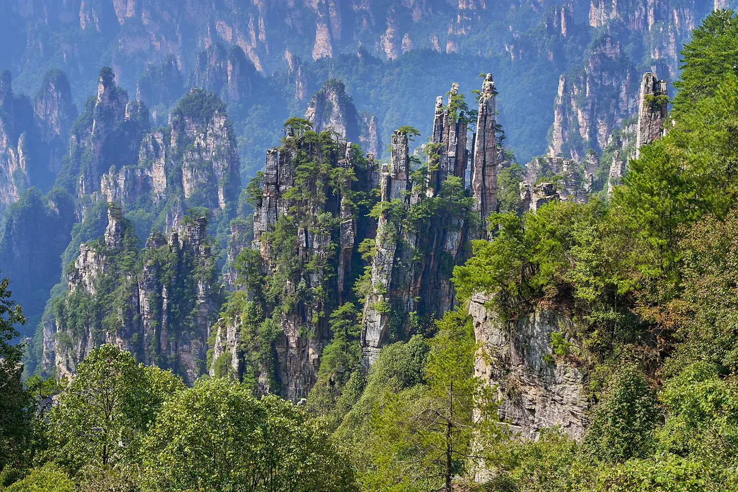 绿谷中耸立的砂岩峰柱